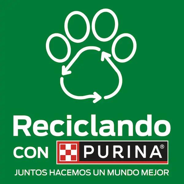 RECICLAJE PERRÓN BY RECICLANDO CON PURINA®_logo
